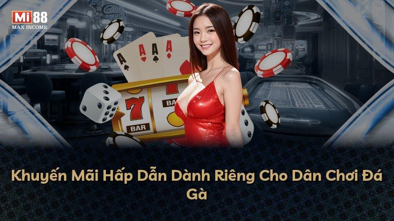 Khuyến Mãi Hấp Dẫn Dành Riêng Cho Dân Chơi Đá Gà