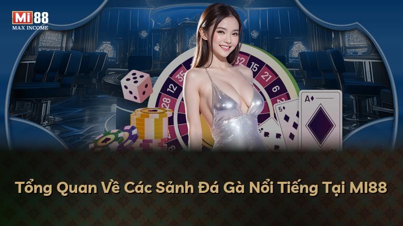 Tổng Quan Về Các Sảnh Đá Gà Nổi Tiếng Tại MI88